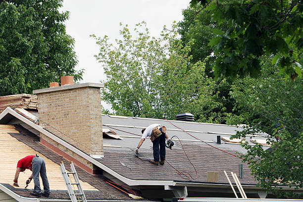 Quick and Trustworthy Emergency Roof Repair Services in West Blocton, AL